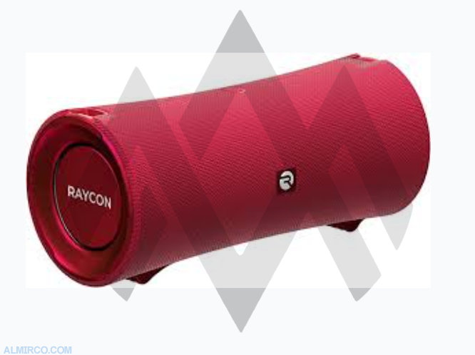 Raycon The Fitness Speaker