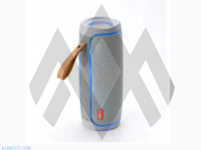 T&G Wireless 287 Portable Wireless Speaker