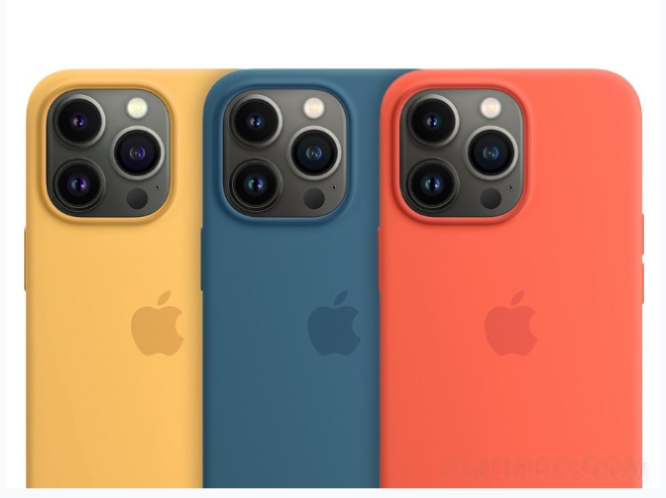 Apple iPhone 13 Pro Max  Case